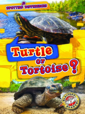 cover image of Turtle or Tortoise?